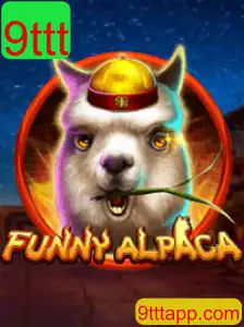 Conheça o Fascinante Mundo de FunnyAlpaca